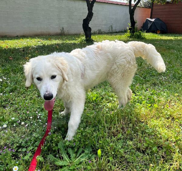 LELLA DELIZIOSA MAREMMANINA Foto 6